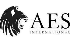 aes international